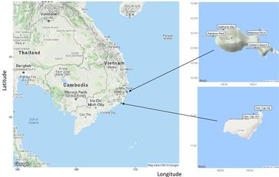 Increased Bacterial Richness Associated With Lesions Within the Porites spp. of Vietnam